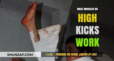 High Kicks: Unlocking the Muscles Behind Powerful Martial Arts Moves