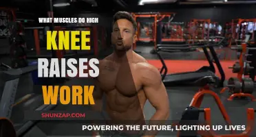 High Knee Raises: Targeted Muscles and Benefits for Core Strength