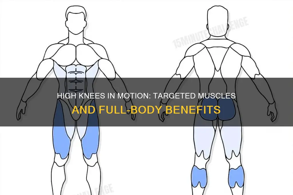 what muscles do high knees in motion work