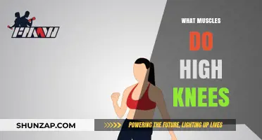 High Knees: A Full-Body Workout for Your Lower Body