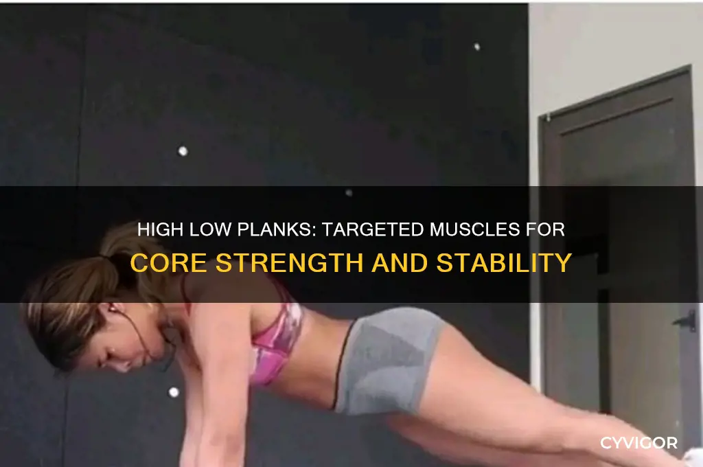 what muscles do high low planks work