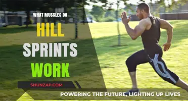 Hill Sprints: Target Muscles and Benefits for Explosive Power