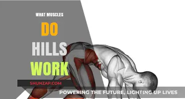 Hills Workout: Target Muscles and Benefits for Runners and Cyclists