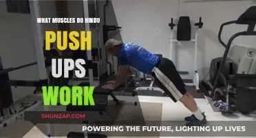 Hindu Push-Ups: Targeted Muscles and Full-Body Benefits Explained