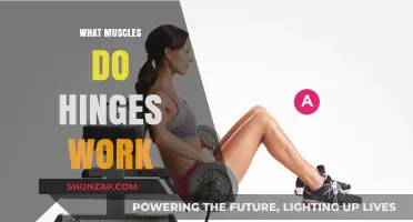 Hinge Exercises: Target Muscles and Benefits for Strength Training