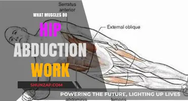 Hip Abduction Muscles: Strengthening Your Outer Thighs and Glutes