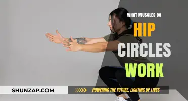 Hip Circles: Targeting Muscles for Strength, Stability, and Flexibility