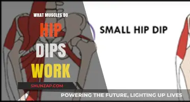 Hip Dips Workout: Targeted Muscles and Effective Exercises Explained