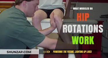 Hip Rotations: Unlocking Core, Glute, and Pelvic Muscle Power