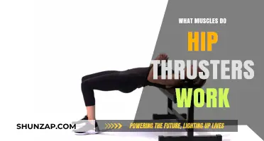 Hip Thrusters: Targeted Muscles and Benefits for Strength Training