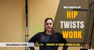 Hip Twists: Targeted Muscles and Benefits for Core Strength