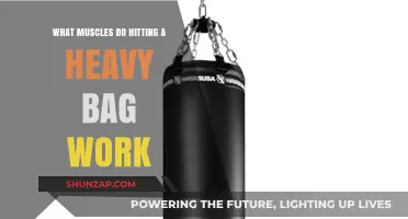 Heavy Bag Workout: Muscles Targeted and Strengthened in Boxing Training