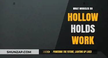 Hollow Holds: Core Muscles Targeted and Benefits Explained