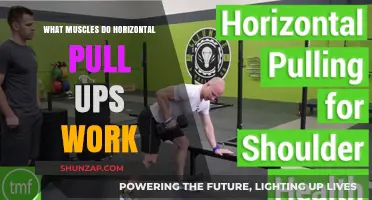 Horizontal Pull-Ups: Targeted Muscles and Benefits Explained