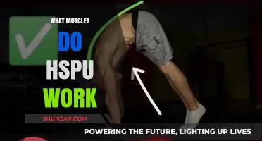 Mastering Handstand Push-Ups: Targeted Muscles and Strength Benefits