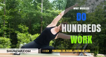 Hundreds Exercise: Target Muscles and Core Benefits Explained