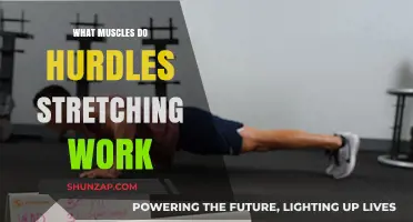 Hurdles Stretching: Target Muscles for Speed, Flexibility, and Performance
