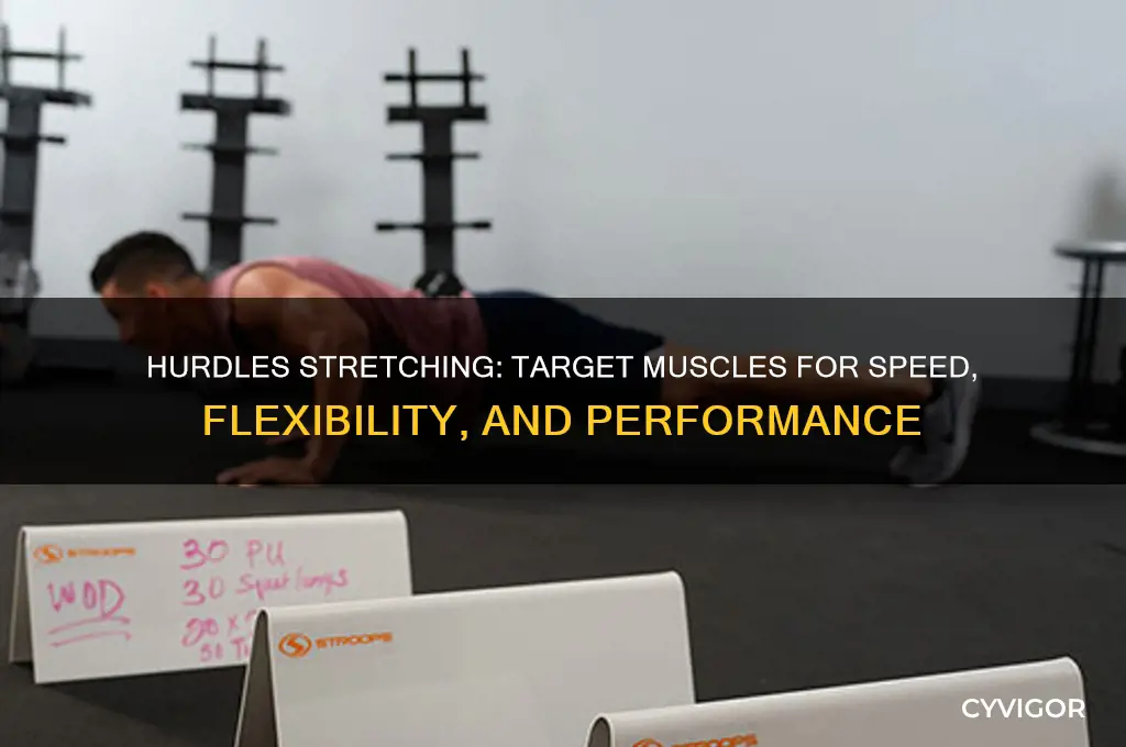 what muscles do hurdles stretching work