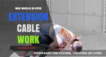 Targeted Muscles: How Hyperextension Cable Exercises Strengthen Your Lower Back