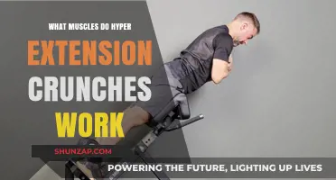 Hyper Extension Crunches: Targeted Muscles for Core and Lower Back Strength