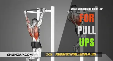 Mastering Pull-Ups: Key Muscles to Develop for Strength and Form
