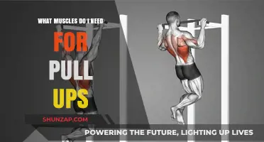 Mastering Pull-Ups: Key Muscles for Strength and Technique