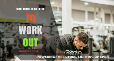 Essential Muscles to Target for a Balanced and Effective Workout Routine