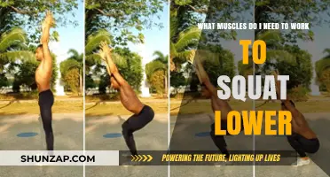 Mastering Deep Squats: Key Muscles to Strengthen for Lower Descent