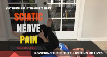 Strengthen These Muscles to Relieve Sciatic Nerve Pain Effectively