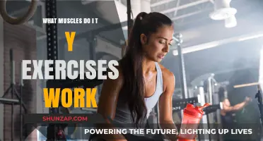 Targeted Muscles: Unlocking the Benefits of T and Y Exercises