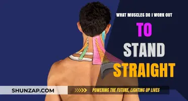 Strengthen Your Posture: Key Muscles for Standing Tall and Straight