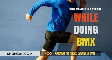 BMX Workout Benefits: Key Muscles Engaged in BMX Riding