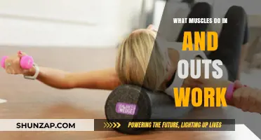 In and Outs: Targeted Muscles and Benefits Explained