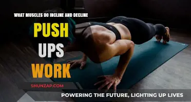 Incline vs Decline Push-Ups: Targeted Muscles and Benefits Explained