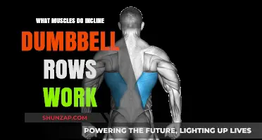 Incline Dumbbell Rows: Targeted Muscles and Benefits Explained