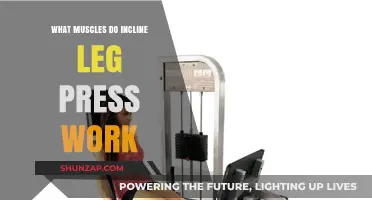 Incline Leg Press Muscles: Targeted Strength Training Benefits Explained