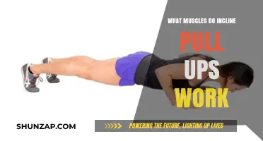Incline Pull-Ups: Targeted Muscles and Strength Benefits Explained