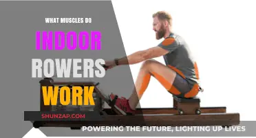 Indoor Rowing: A Full-Body Workout Targeting Key Muscle Groups