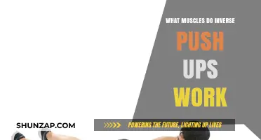 Inverse Push-Ups: Targeted Muscles and Benefits Explained
