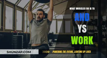 Targeted Muscles: How T's and Y's Strengthen Your Upper Body