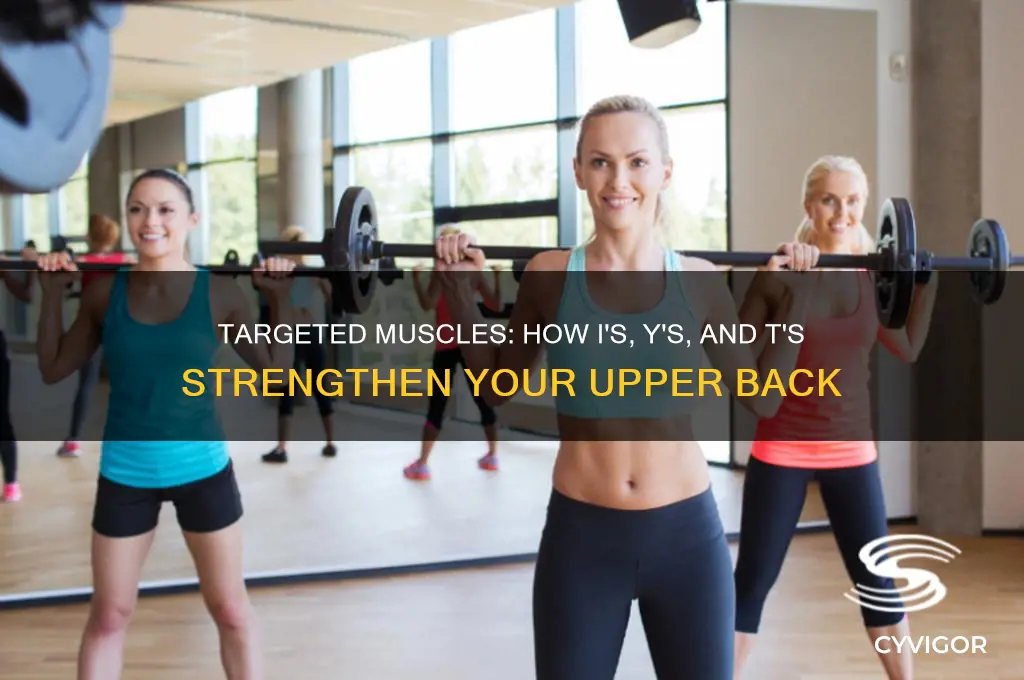 what muscles do i