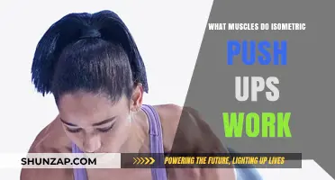 Isometric Push-Ups: Targeted Muscles and Strength Benefits Explained