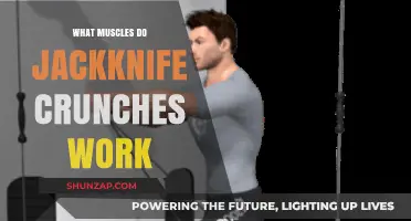Jackknife Crunches: Targeting Core, Hip Flexors, and Lower Abs Muscles