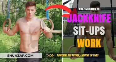Jackknife Sit-Ups: Targeted Muscles and Core Strengthening Benefits