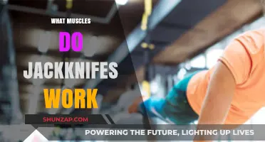 Jackknives Workout: Targeting Core, Hip Flexors, and Lower Abs Muscles