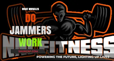 Jammers Workout: Targeted Muscles and Benefits Explained