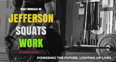 Jefferson Squats: Targeted Muscles and Benefits for Strength Training