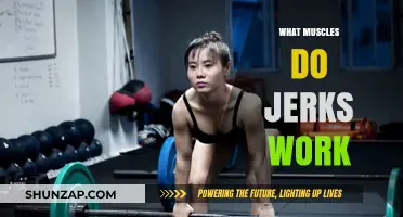 Unleashing Power: Muscles Activated During Jerk Exercises Explained
