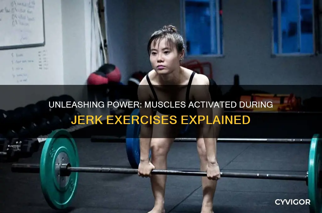 what muscles do jerks work