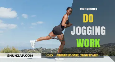 Jogging's Muscle Benefits: Unlocking Lower Body Strength and Endurance